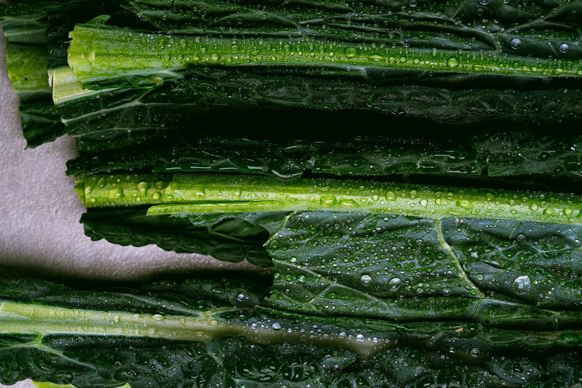 Quercetin and Healthy Aging: What the Science Shows