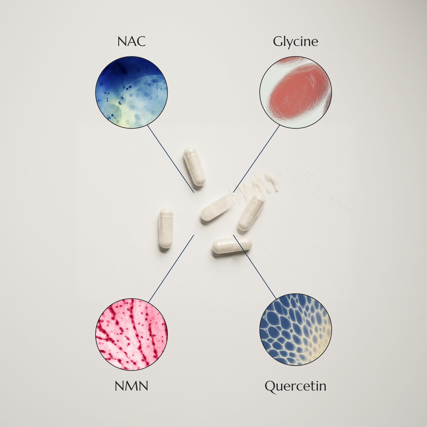 Illustration of NAC, Glycine, NMN, and Quercetin with corresponding capsules on a light gray background.
