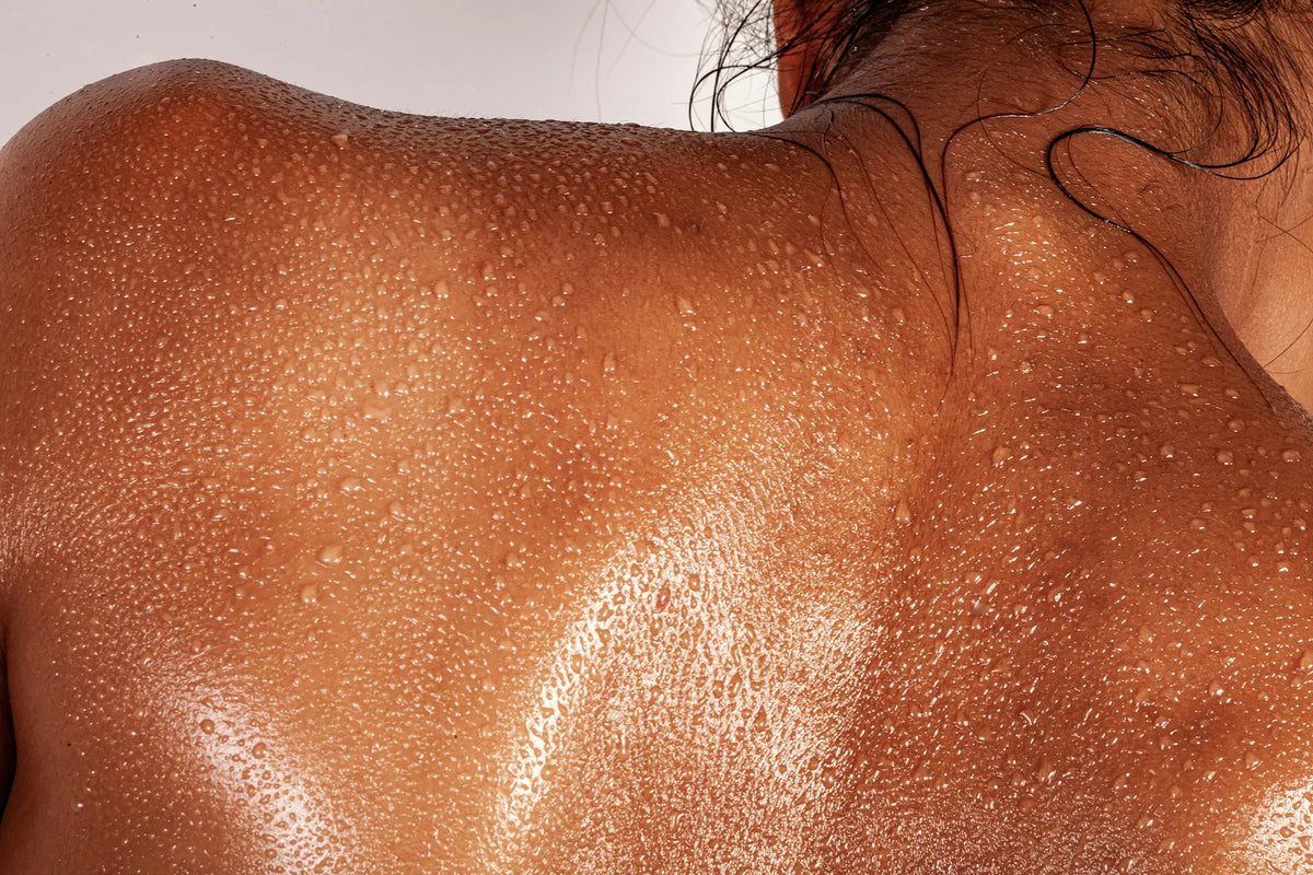 Shiny, sun-kissed back with a light background.
